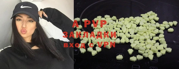 гашик Алексин