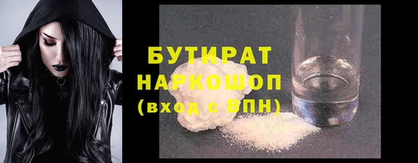 гашик Алексин