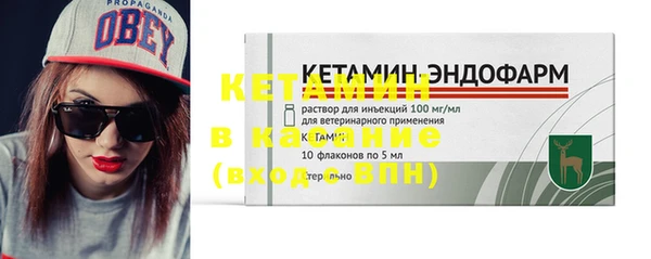 стаф Абинск