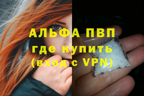 стаф Абинск