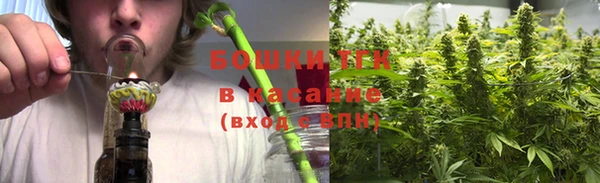 гашик Алексин